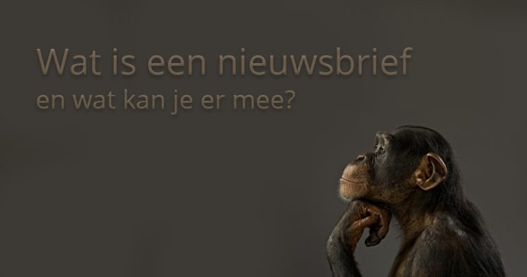 Wat is een nieuwsbrief en wat kan je er mee